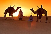 'Tuaregs with her Camels; Libyan Arab Jamahiriya; Libyan Desert.'