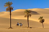 'Tuaregs riding Camels; Libyan Arab Jamahiriya; Libyan Desert.'