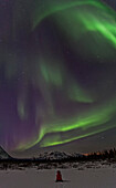 Person Watching The Aurora Borealis Or Northern Lights In The Yukon.