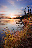 Artist's Choice: Mist Over Lake At Sunrise, Northern British Columbia