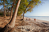 'Playa Santa Teresa (Santa Teresa Beach) In Santa Teresa And Mal Pais (Malpais) On The Nicoya Peninsula; Puntarenas Province, Costa Rica'