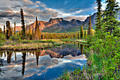 Skookum Volcano Reflecting In A Pond Along The Nabesna Road In Wrangell-St. Elias National Park And Preserve, Southcentral Alaska, Summer, Hdr