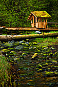 Covered Picnic Area Over A Stream At Sandy Beach Recreation Area, Petersburg, Southeast Alaska, Summer