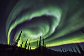The aurora borealis lights the night sky in Alaska's Brooks Range, Arctic, Alaska