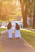 'Two Nuns Walk Together Down A Pathway Golden With Sunlight; Locarno, Ticino, Switzerland'