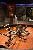 Brewing the malt before fermentation, the old jameson distillery, the old whiskey distillery, bow street, dublin, ireland