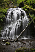 Waterfall, Moran State Park, Washington, USA