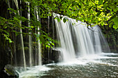 Sqwd Ddwli Waterfall, Brecon Beacons, Wales, United Kingdom, Europe