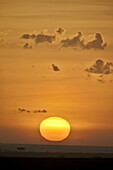 Sunrise, Serengeti National Park, Tanzania, East Africa, Africa