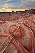 Sandstone forms at dawn, Valley of Fire State Park, Nevada, United States of America, North America