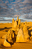 The Pinnacles  limestone formations at sunset contained within Nambung National Park, Western Australia, Australia, Pacific