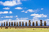 Horses grazing at the 15 moai restored ceremonial site of Ahu Tongariki on Easter Island (Isla de Pascua) (Rapa Nui), UNESCO World Heritage Site, Chile, South America