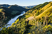 View over the Whanganui River in the lush green countryside, Whanganui River road, North Island, New Zealand, Pacific