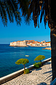 Old Town (Stari Grad), UNESCO World Heritage Site, Dubrovnik, Dalmatia, Croatia, Europe