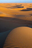 Lights and shadows on the sand dunes at sunrise with blueish mountains on the background, Sahara desert, Morocco