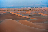 Desert sand dunes before sunrise with blueish mountains on the background, Sahara desert, Morocco