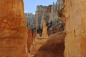 SANDSTONE FORMATIONS CALLED HOODOOS, BRYCE CANYON NATIONAL PARK, UTAH, USA