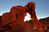 ELEPHANT ROCK, ERODED SANDSTONE, VALLEY OF FIRE STATE PARK, NEVADA, USA