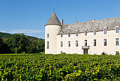 Cote d'Or. Savigny Les Beaune. The castle. Vineyards in the foreground.