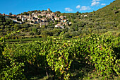 France, Herault, village Vieussan in the valley of the Orb.