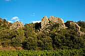 France, Herault, cliffs Landeyran in the Regional Park of Haut Languedoc.