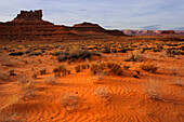 VALLEY OF GODS, UTAH, USA