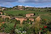 France, Rhône (69), Oingt medieval village labeled Most beautiful villages in France, the land of golden stones
