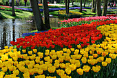 Netherlands, Lisse, Keukenhof garden, tulips