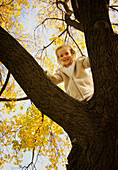 Young Girl In Tree