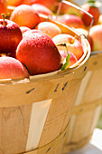 Apples In A Basket