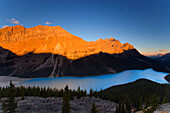 Peyto Lake In Banff, Alberta, Canada