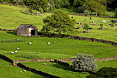 Barn In Derbyshire, England