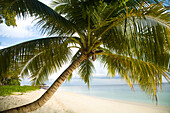 Sipadan Island, Sabah, Malaysian Borneo, Malaysia, Southeast Asia