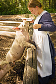 Woman Wearing Pioneer Costume Feeding Pig, Fort Edmonton, Alberta, Canada