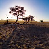 Desert, Namibia, Africa