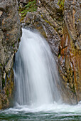 Cat Creek Falls, Kananaskis, Alberta