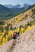 Three Hikers Walking On A Mountain Trail