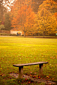 'Northumberland, England; A Bench In A Park In Autumn'