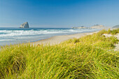 'Oregon, United States Of America; American Beachgrass Along Cape Kiwanda With A View Of Haystack Rock'