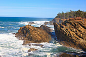 'Oregon, United States Of America; Rock Formations At Shore Acres State Park Along The Coast Of The Pacific Ocean'