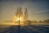 'Calgary, Alberta, Canada; A Small Pioneer School In A Misty Winter Sunrise'