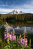 'Washington, United States Of America; A Reflection Of Mount Rainier In A Lake And Wildflowers Along The Shore In Paradise Park In Mt. Rainier National Park'