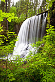 'North Middle Falls In Silver Falls State Park; Oregon, Usa'