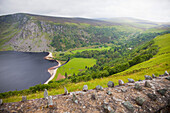 'Rock Fence Along Road Near Sally Gap And Lough Tay; Wicklow County, Ireland'