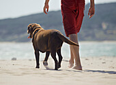 'Man Walking With His Dog On Punta Paloma Beach; Tarifa, Cadiz, Andalusia, Spain'