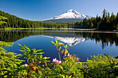 'Reflection Of Mount Hood In Trillium Lake In The Oregon Cascades; Oregon, United States Of America'