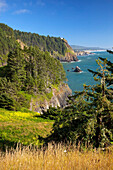 'Cape Foulweather Along The Oregon Coast; Oregon, Usa'