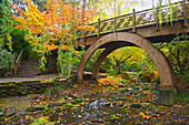 'Autumn Colors In Crystal Springs Rhododendron Gardens And A Bridge Over A Stream; Portland, Oregon, United States Of America'