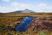 'Water Source In Irish Bog; Achill Island, County Mayo, Ireland'