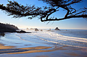 'Sunrise On Indian Beach; Oregon, United States Of America'